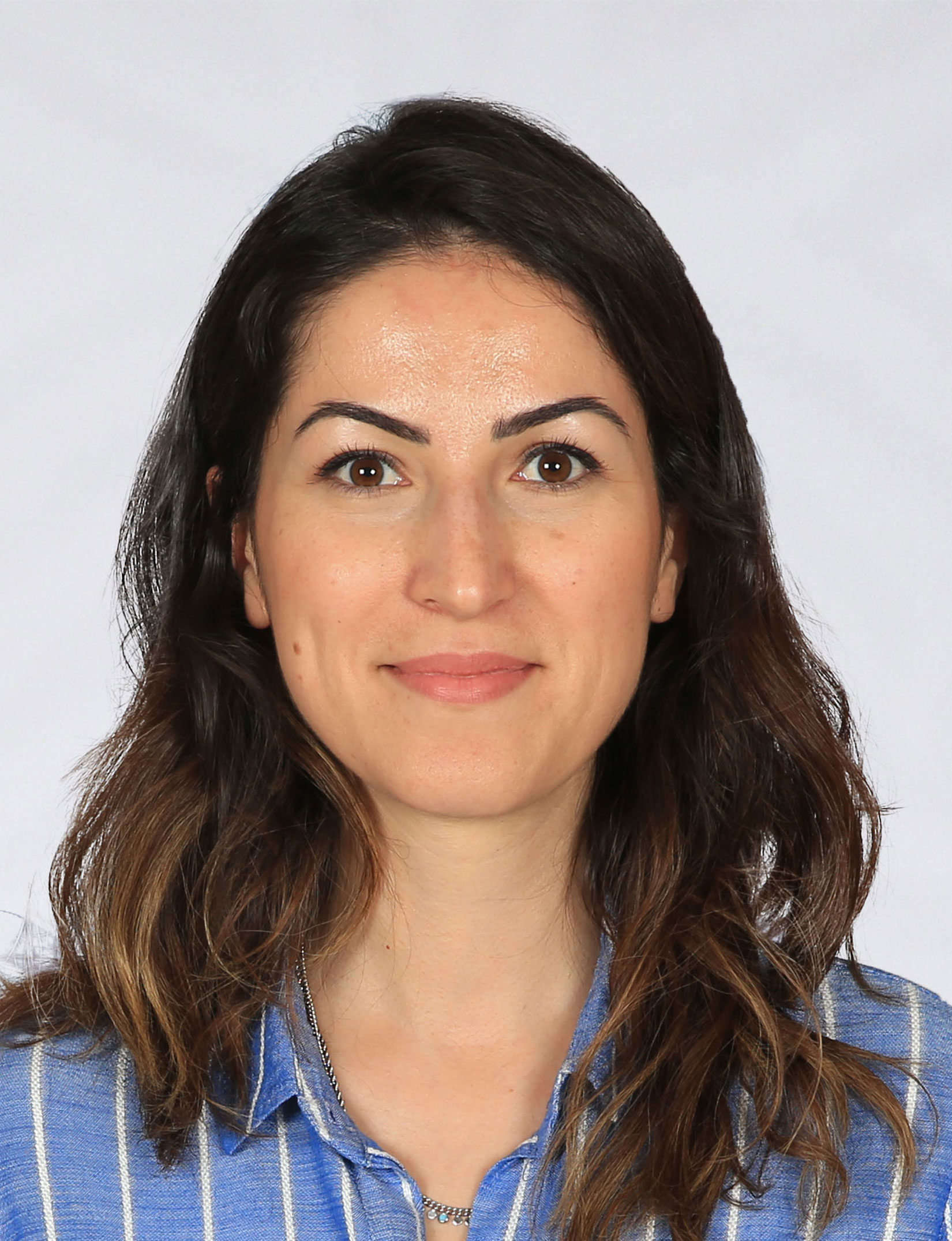 Dr. Öğr. Üyesi Deniz GÜLMEZ