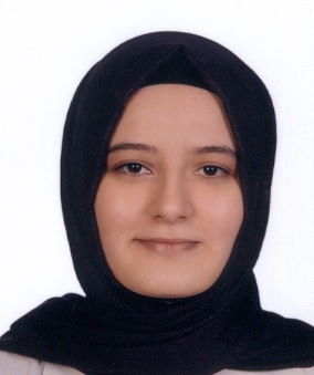Arş. Gör. Elif SAYICI
