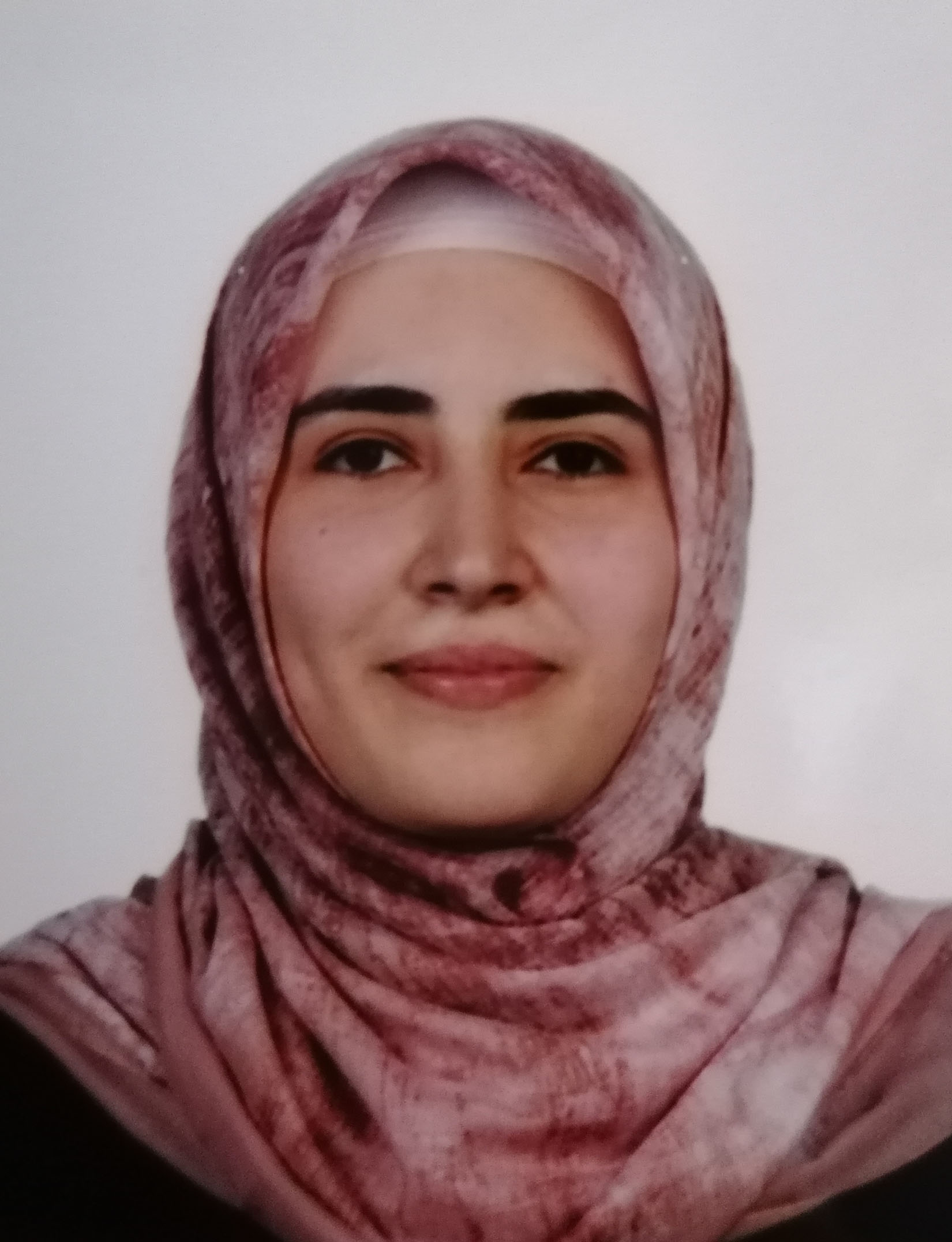 Arş. Gör. Meryem GÜMÜŞ