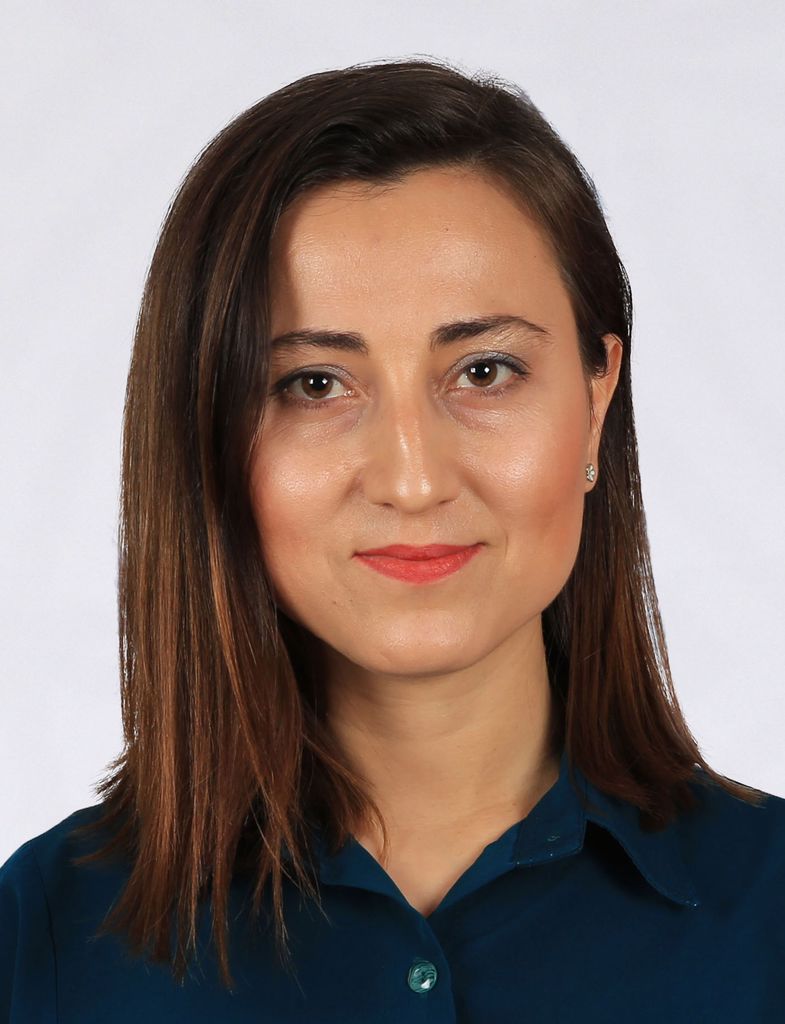 Dr. Öğr. Üyesi Vesile KOÇAK